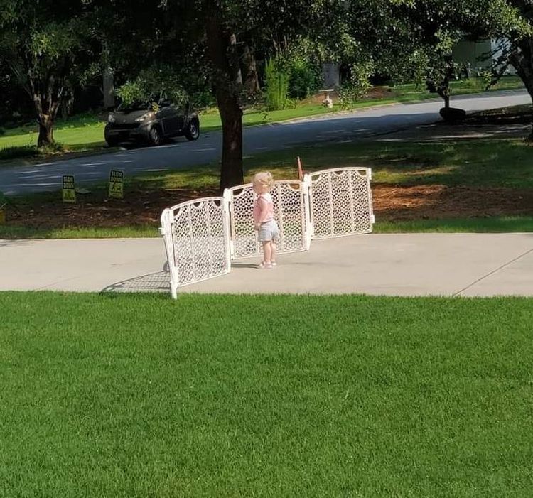 image-20221124182145-7