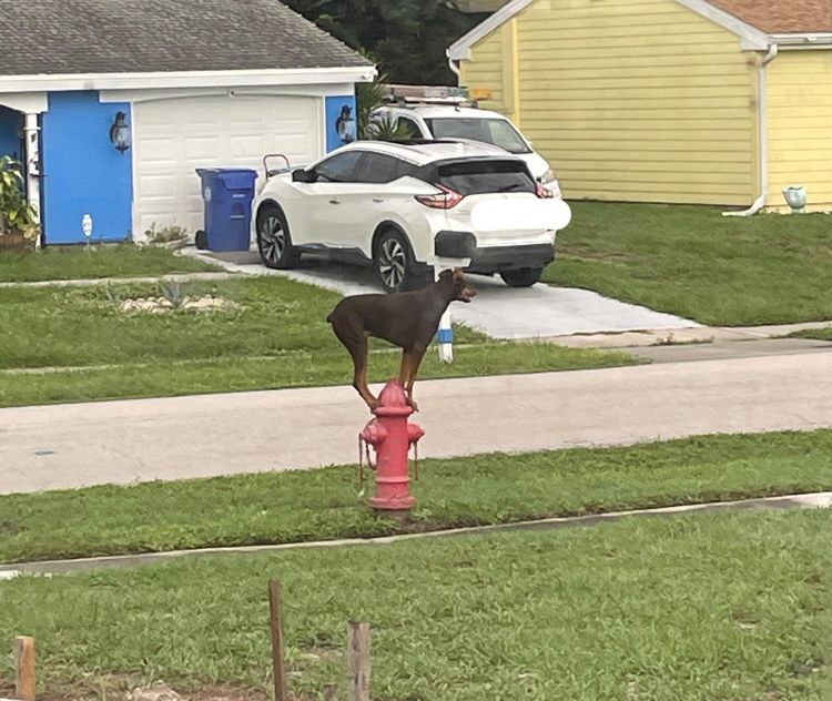 image-20221128151627-4