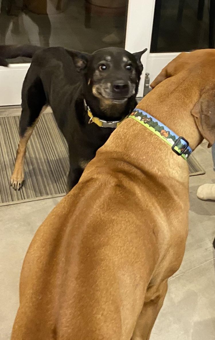 image-20221128151637-7