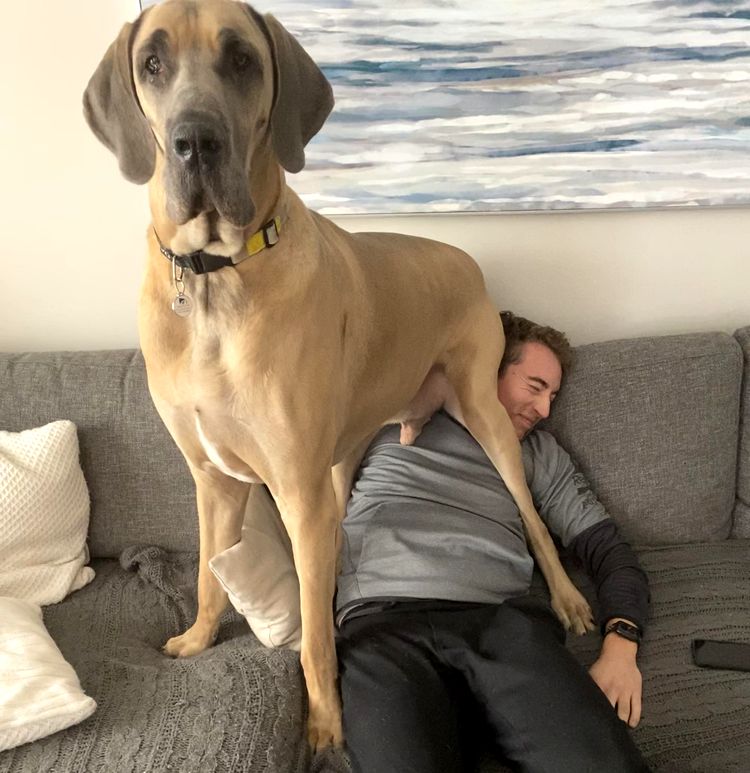 image-20221128151704-15