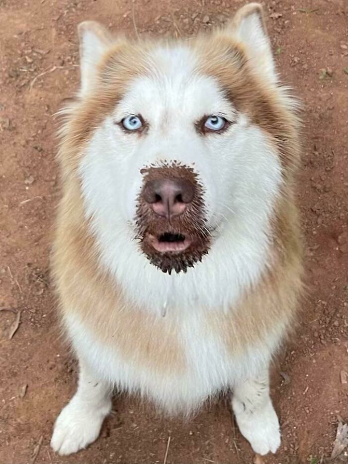 image-20221128151707-16