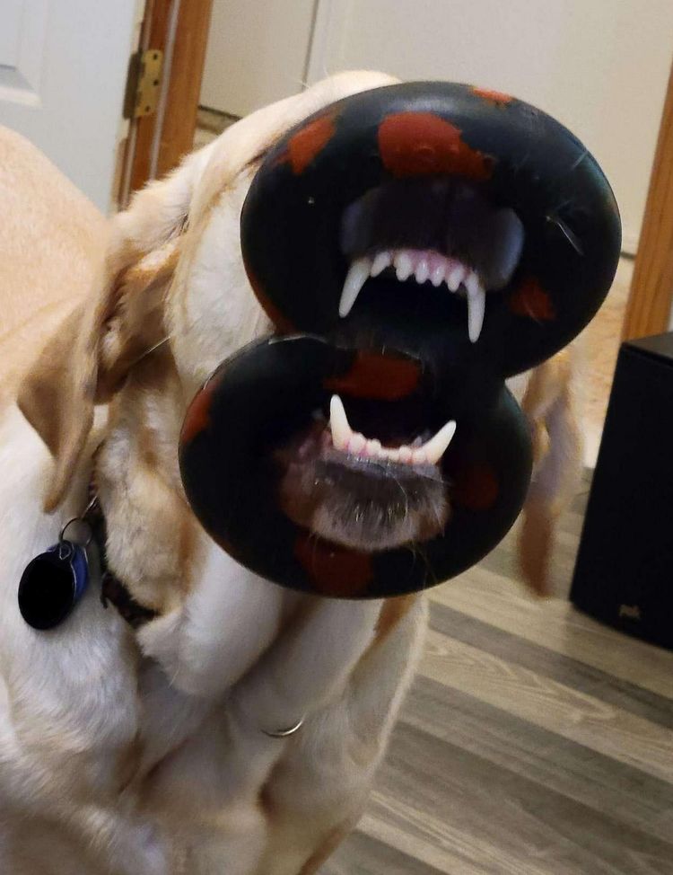 image-20221128151712-18