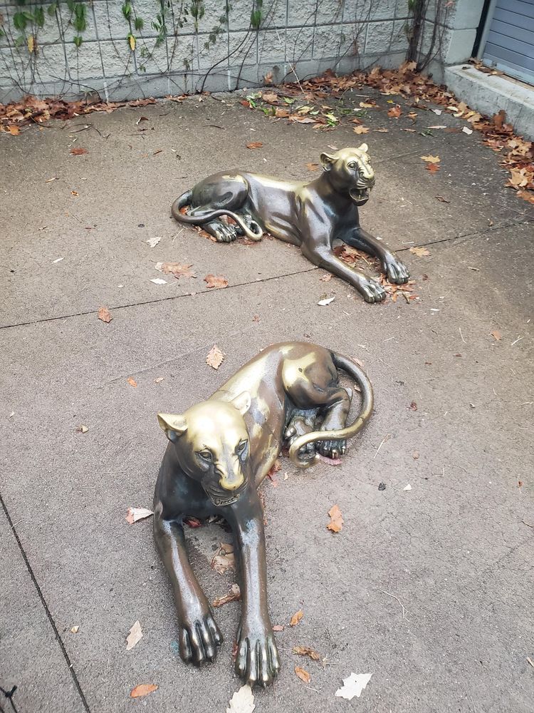 image-20221128214234-6