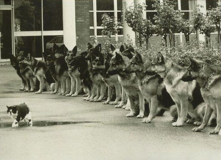 image-20221201161819-14