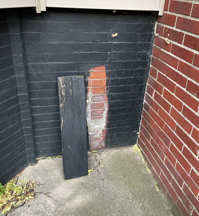 image-20221201182454-13