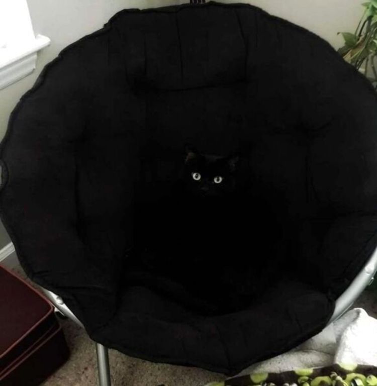 image-20221202114718-1