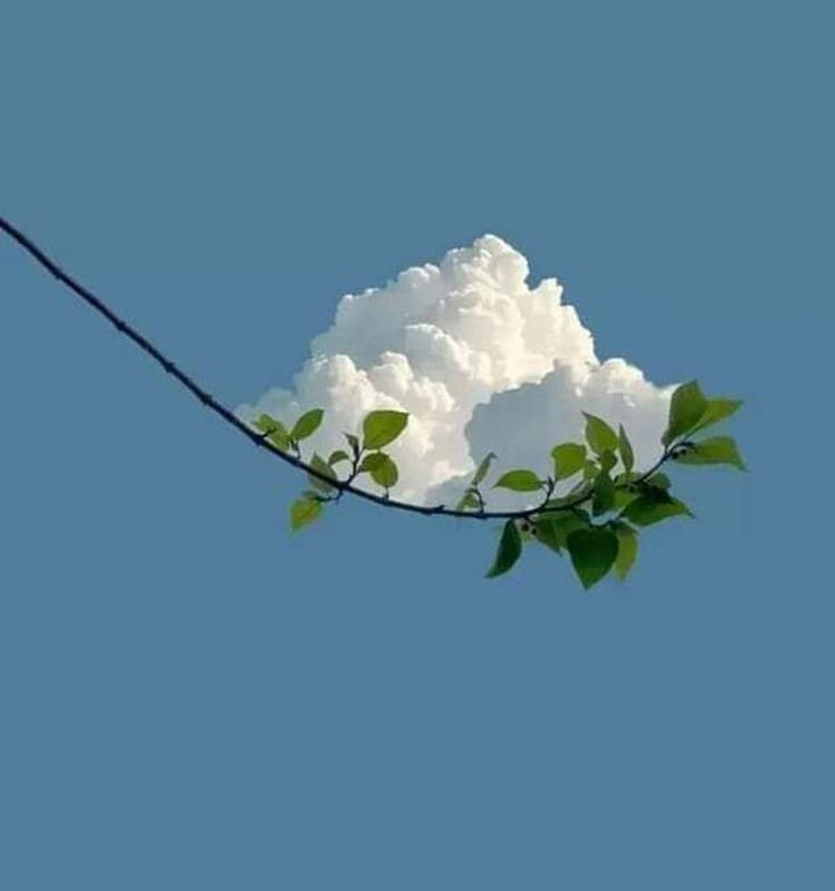 image-20221202114741-9