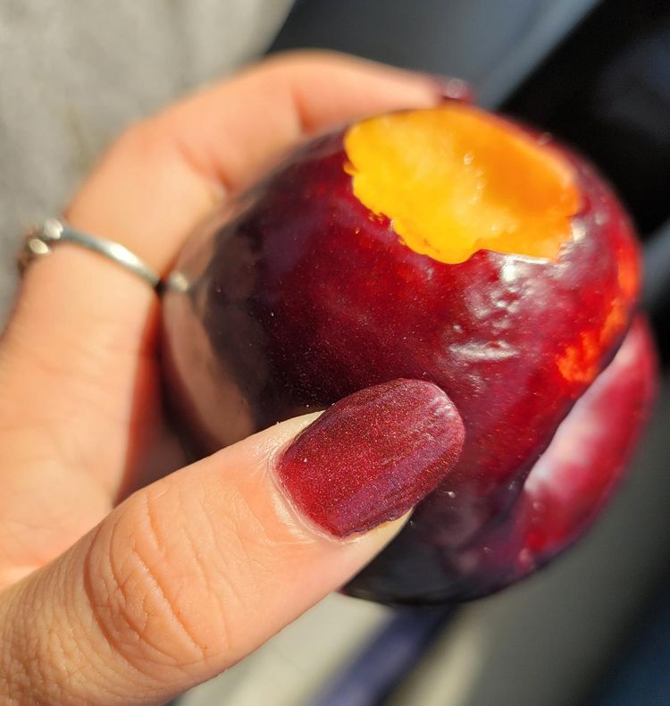 image-20221202114747-11