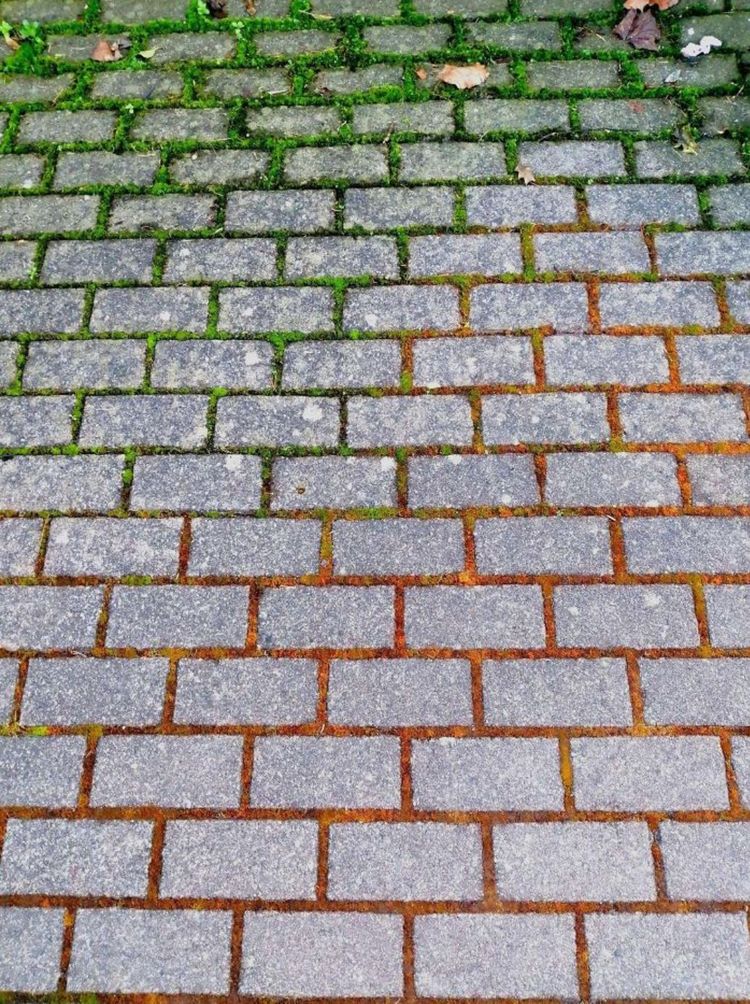 image-20221202114800-15