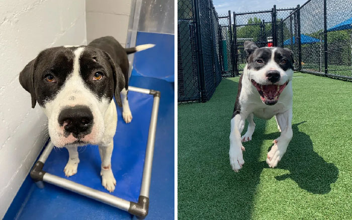 image-20221205151214-4