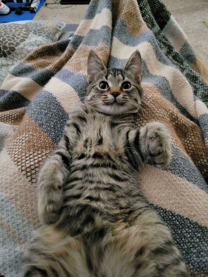 image-20221205151219-5