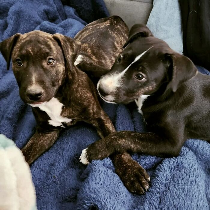 image-20221205151233-9