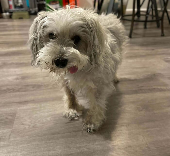 image-20221205151242-12