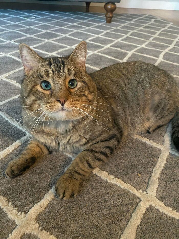 image-20221205151245-13