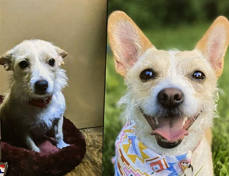 image-20221205151305-14