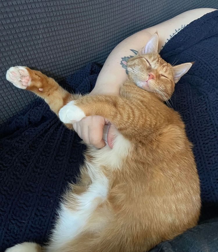 image-20221205151324-17