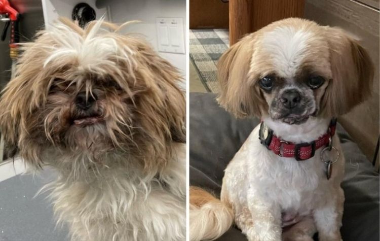 image-20221205151327-18