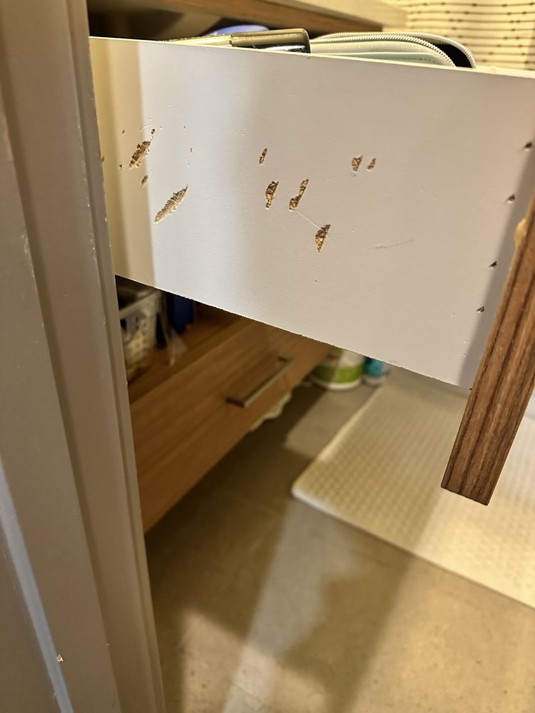 image-20221205200158-3