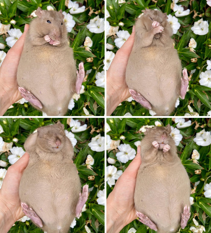 image-20221206134759-1