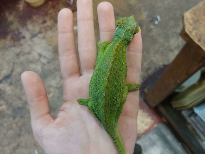 image-20221206134910-10