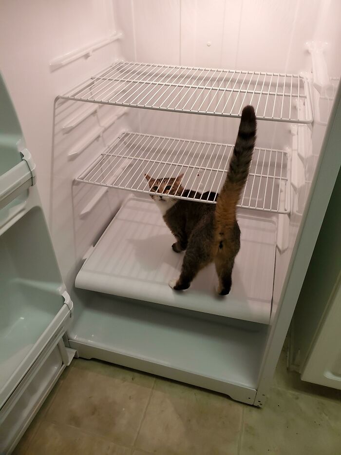 image-20221208132504-11