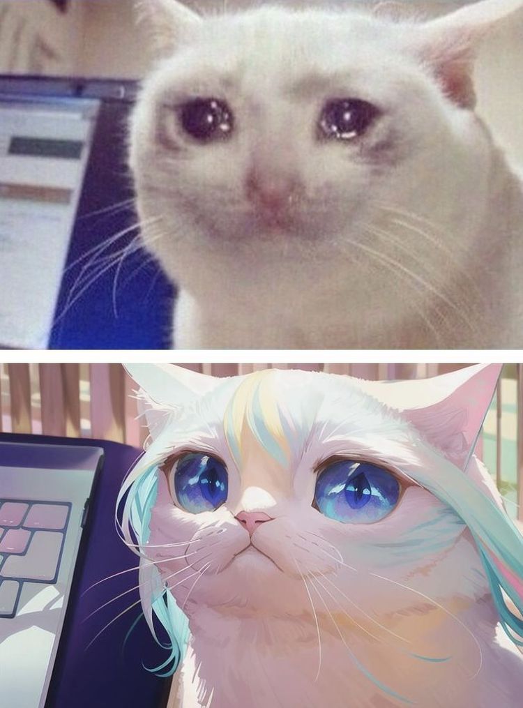 image-20221208145026-8