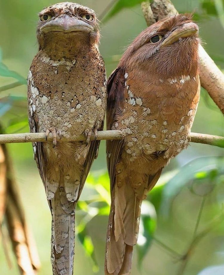 image-20221208163318-1