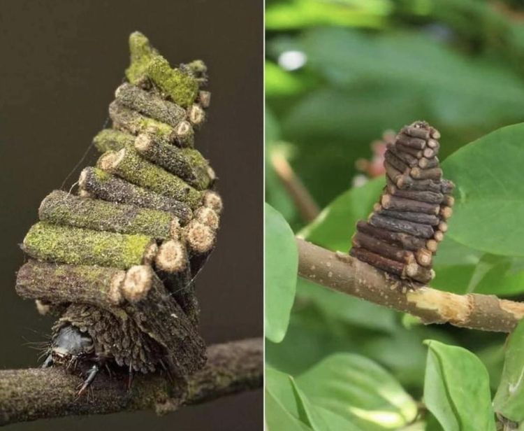 image-20221208163345-7