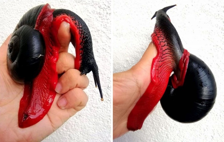 image-20221208163358-11