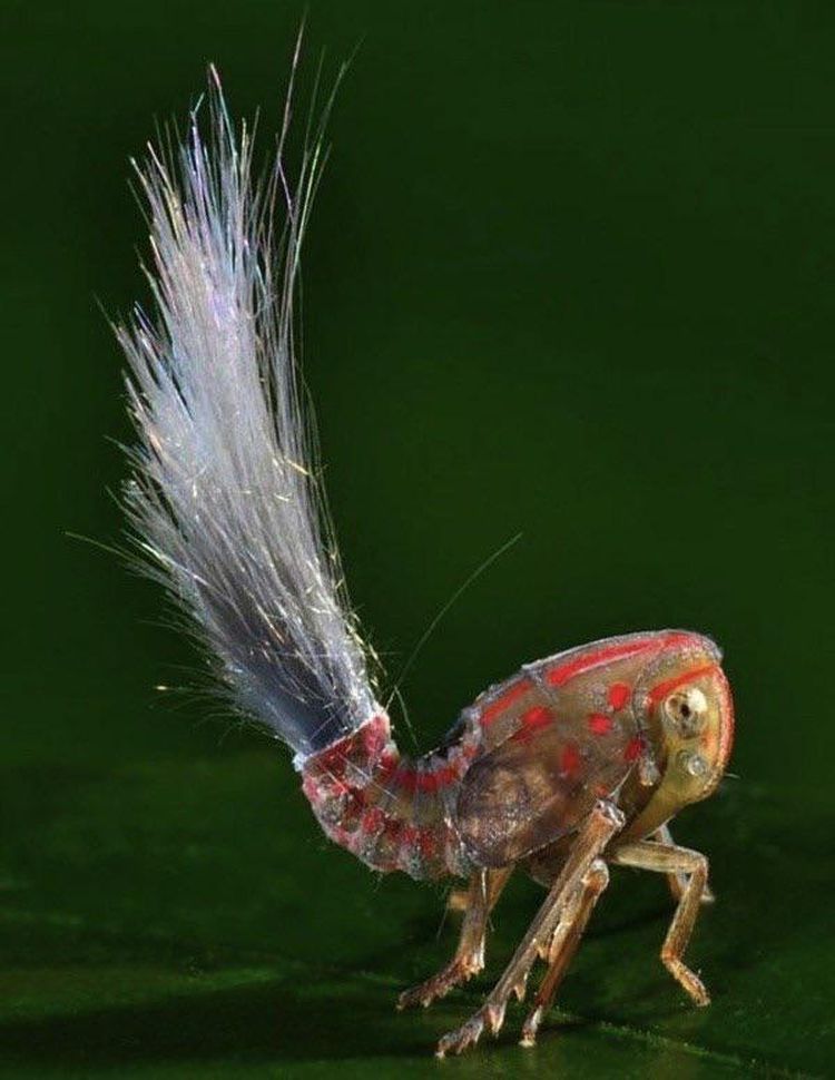 image-20221208163407-14