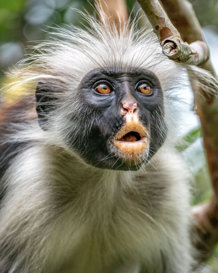 image-20221208163413-16