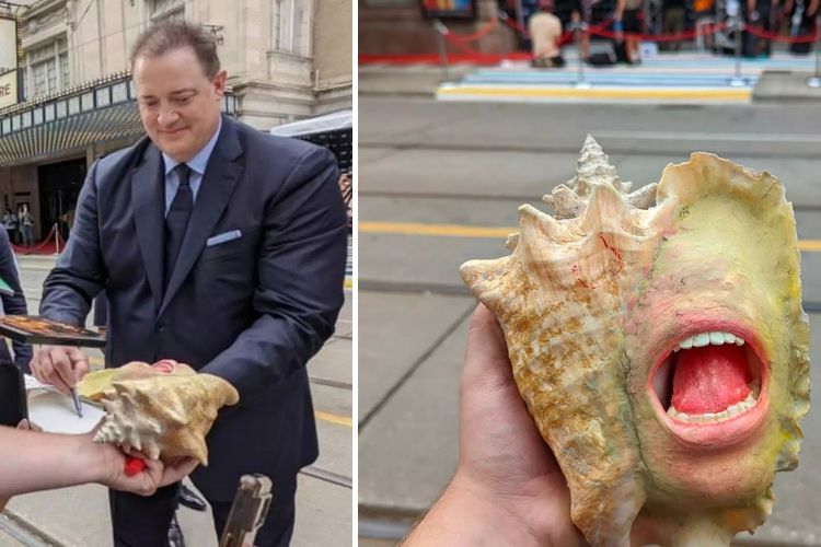 image-20221209122245-2