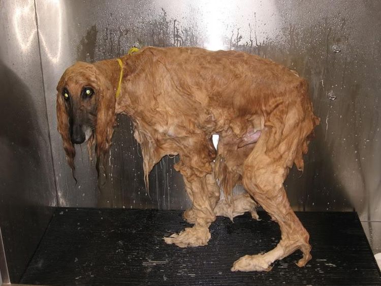 image-20221209122435-12