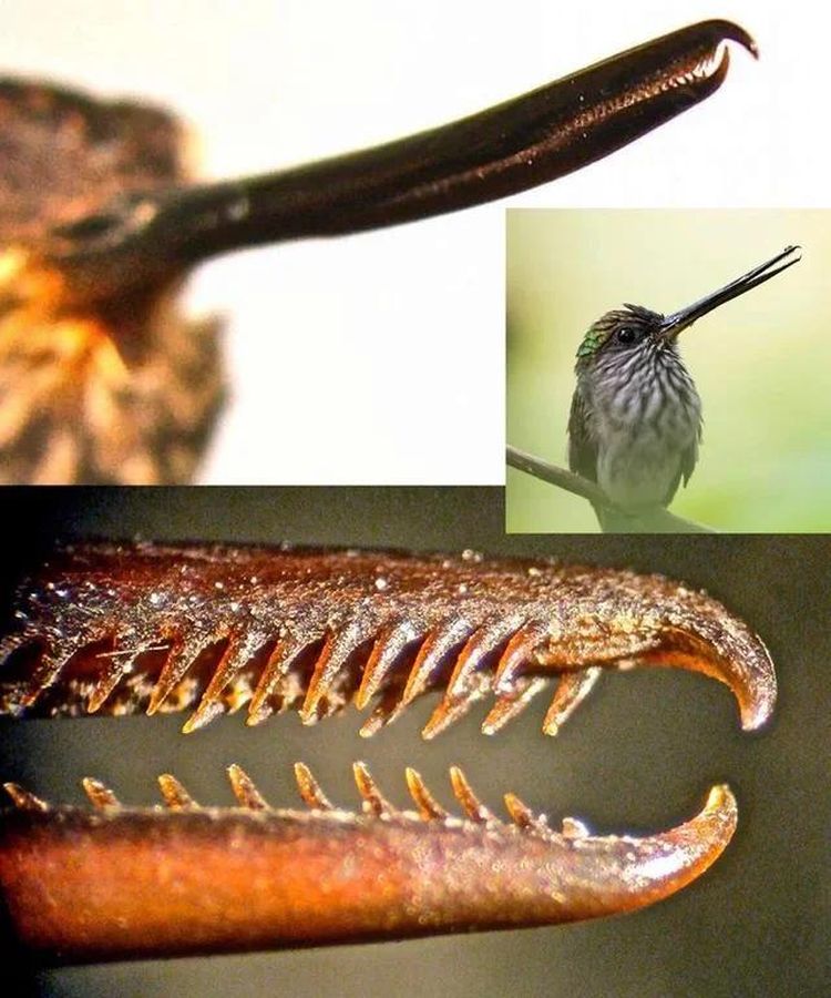 image-20221209122446-15