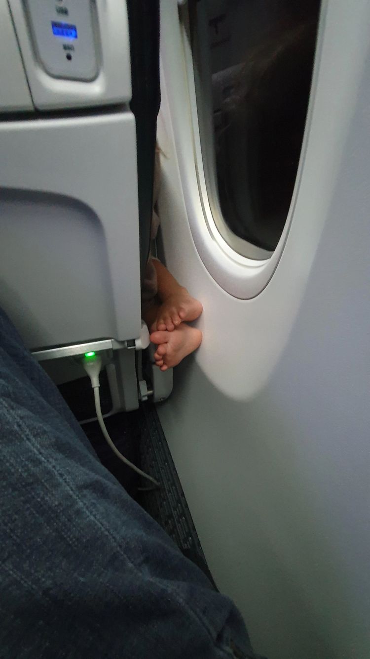 image-20221212172958-1