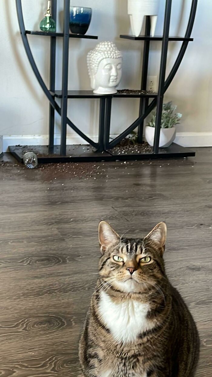 image-20221213123446-1