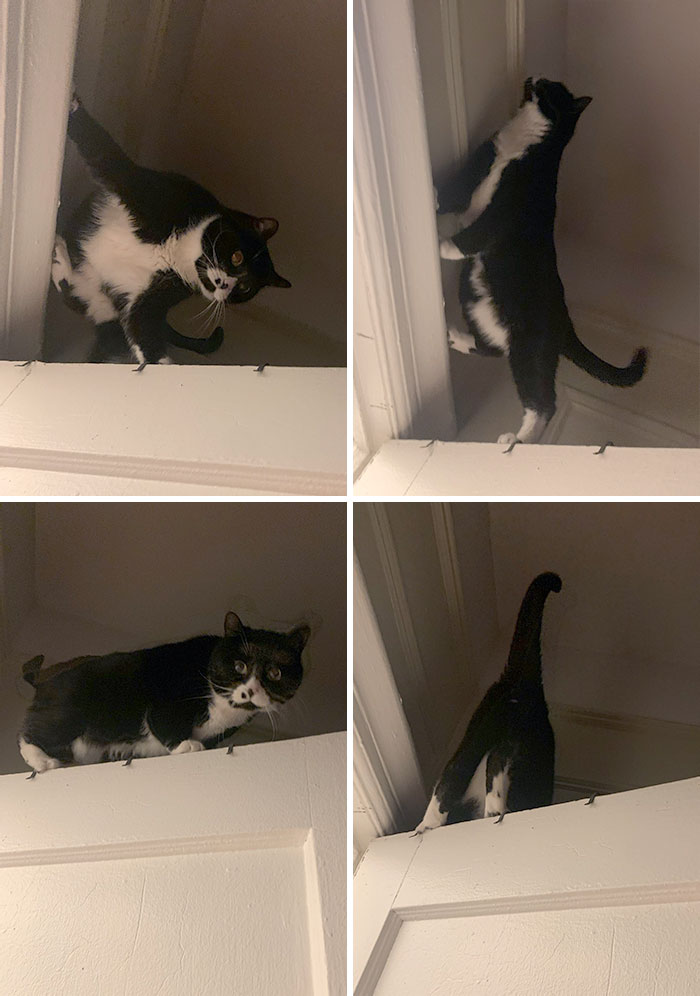 image-20221213123452-3