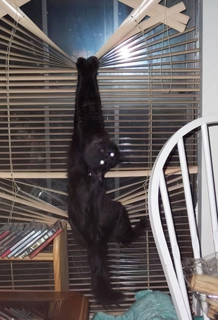 image-20221213123504-6