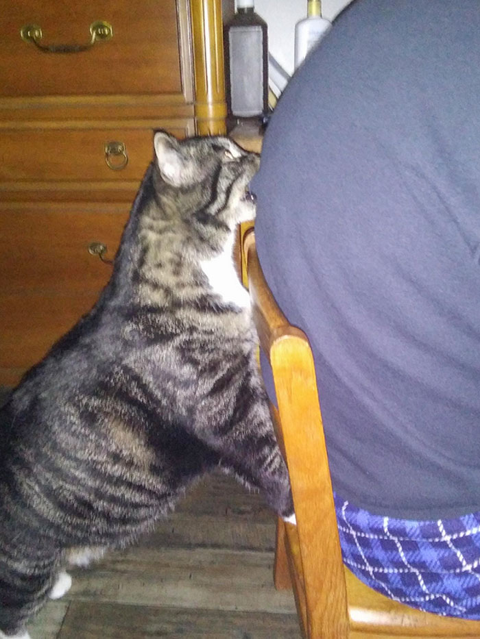 image-20221213123514-7