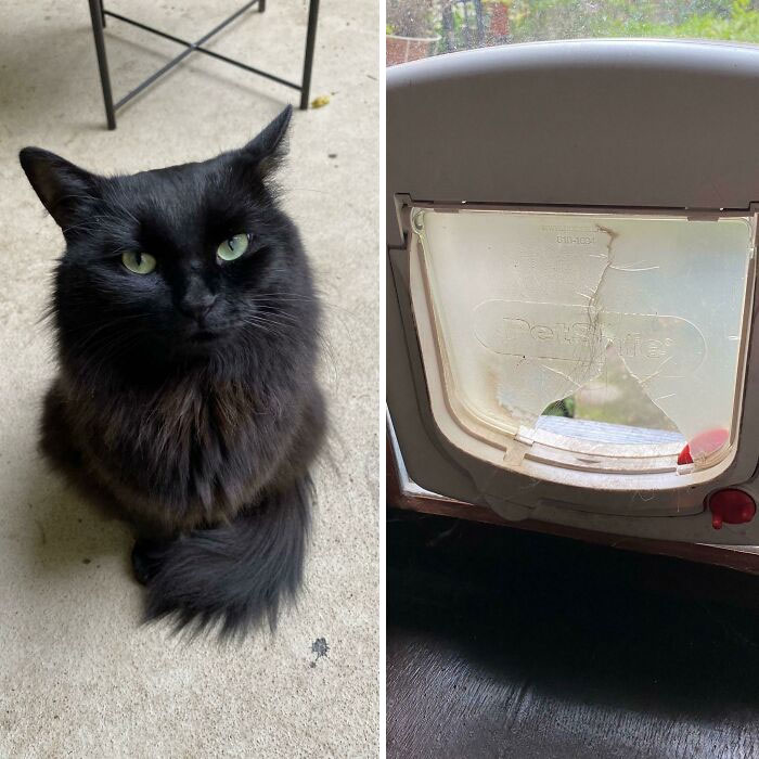 image-20221213123518-8