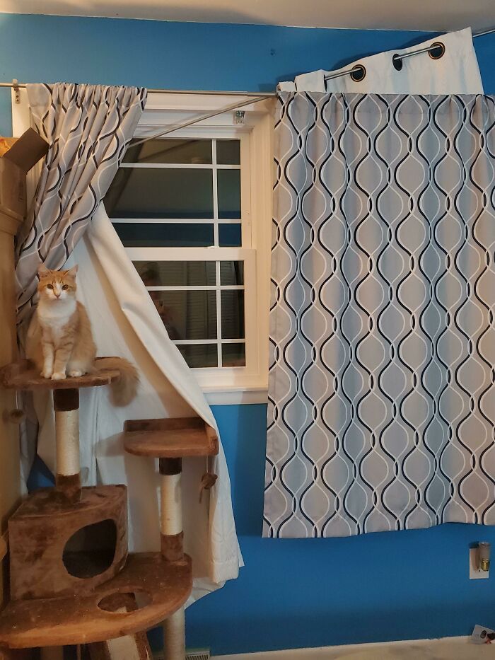 image-20221213123523-9