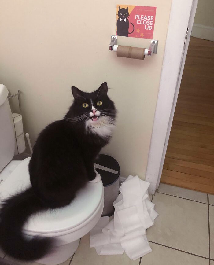 image-20221213123531-12