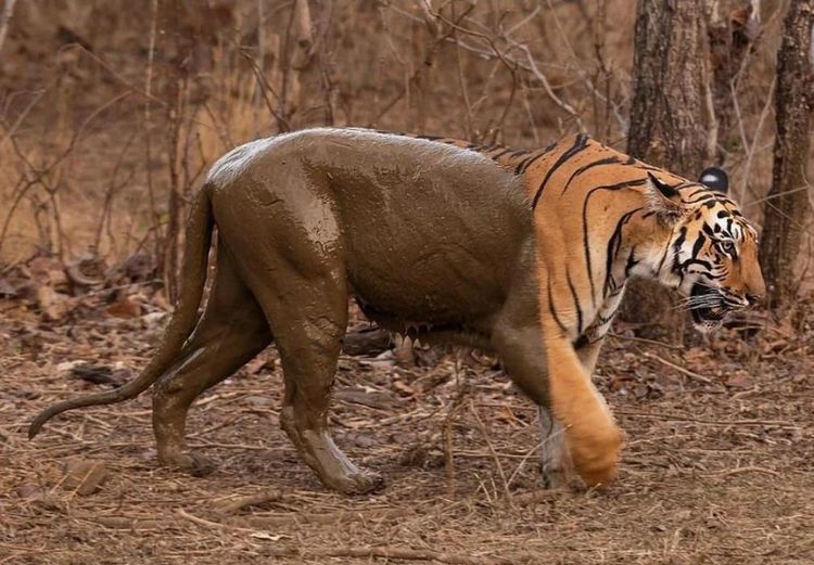 image-20221213171743-1