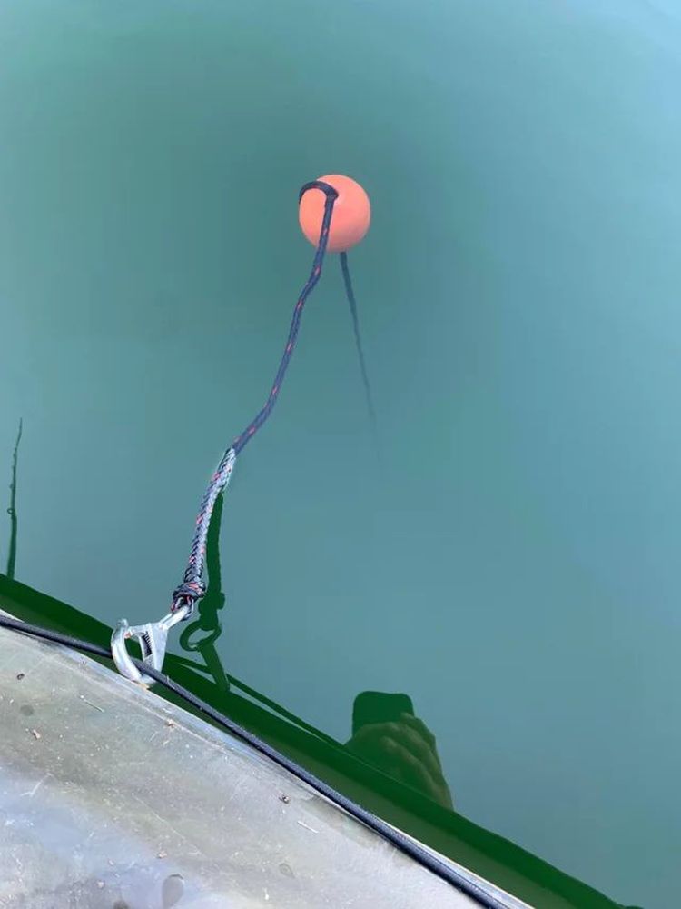 image-20221213171820-8