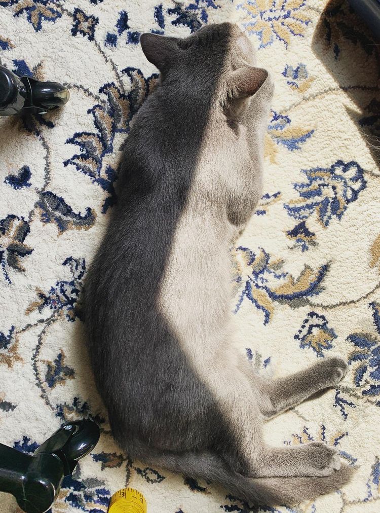 image-20221213171828-10