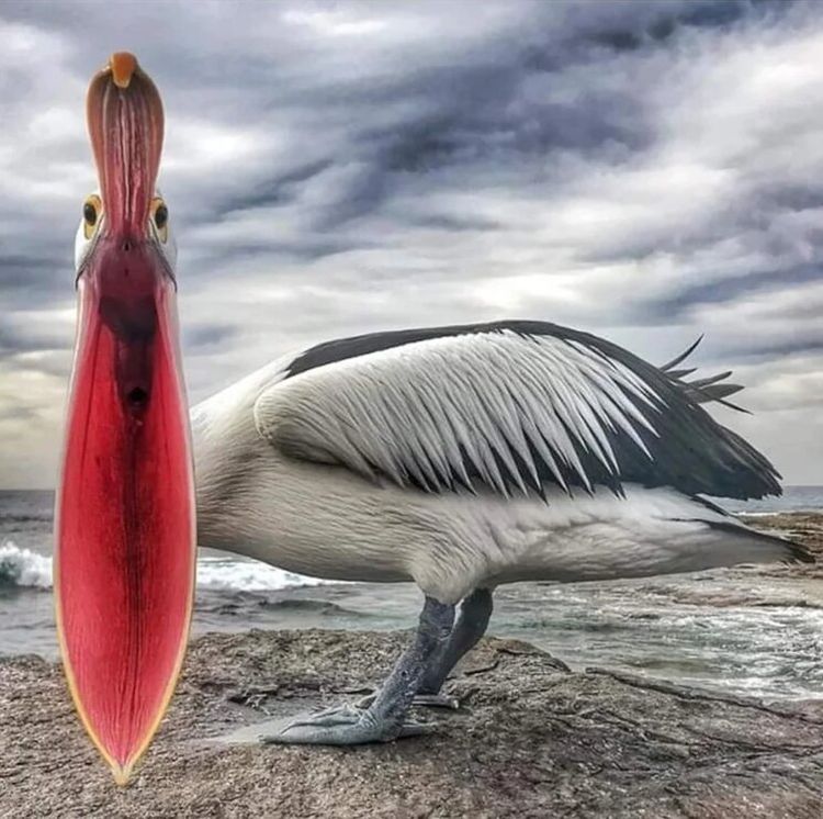 image-20221213171914-11