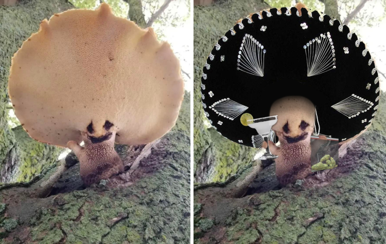 image-20221214153119-2