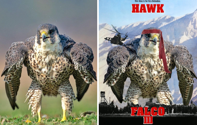 image-20221214153131-3