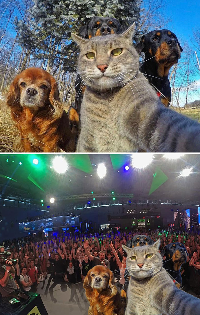 image-20221214153203-7