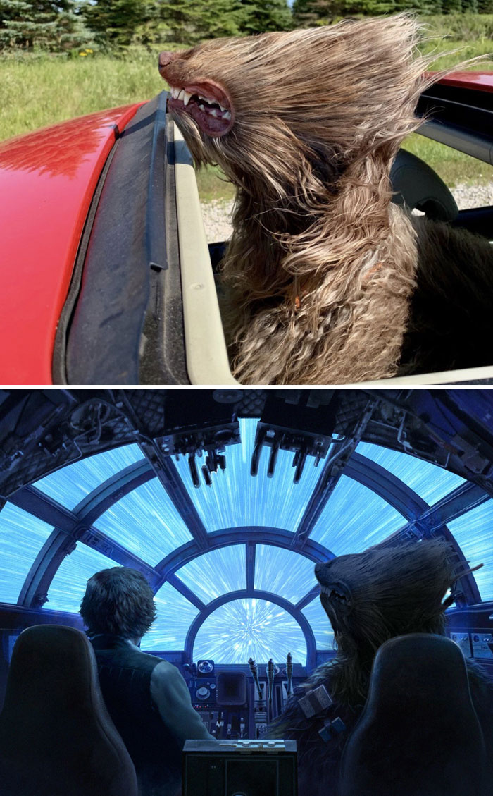 image-20221214153206-8